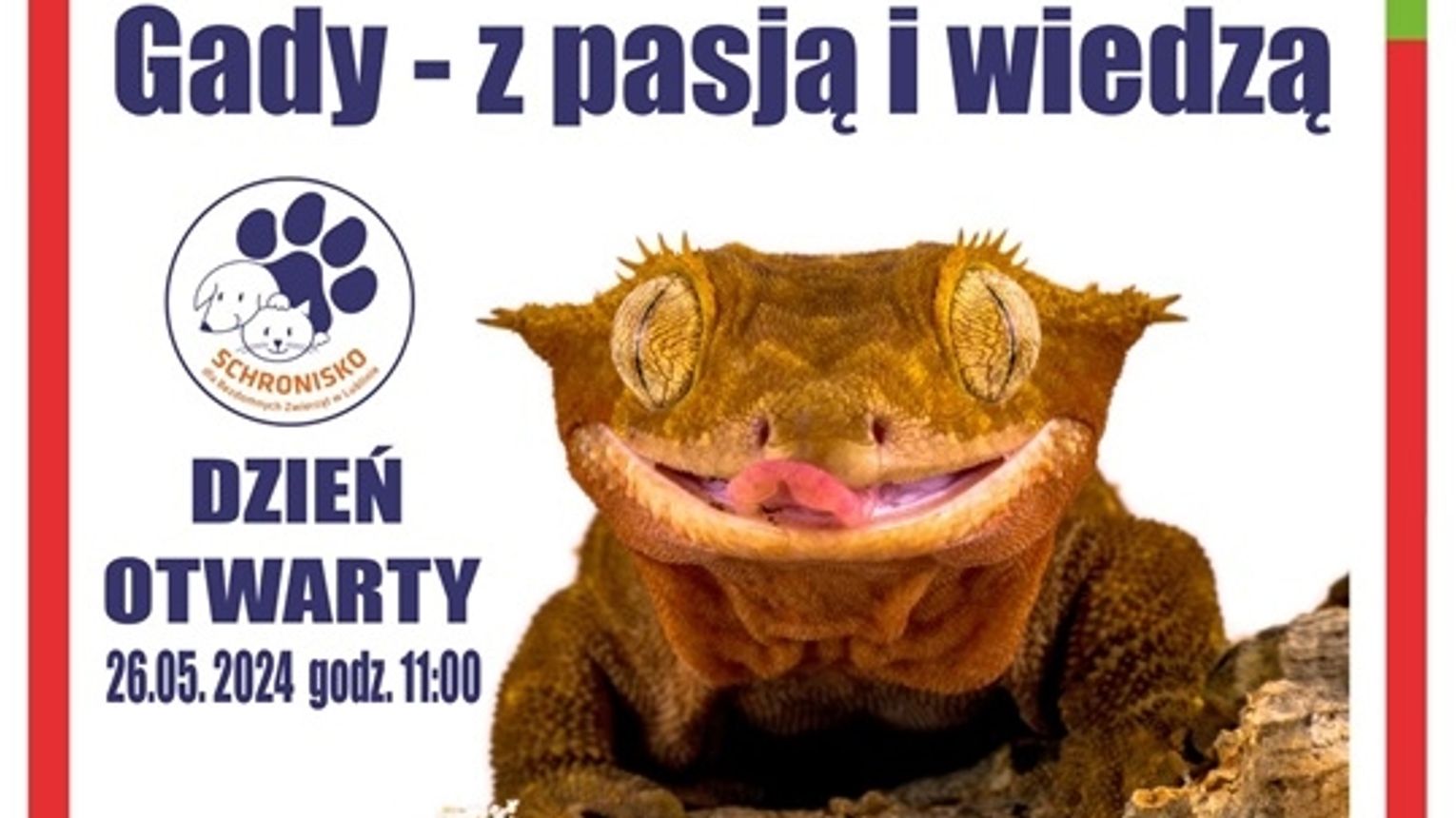 Dzie Otwarty W Schronisku Dla Bezdomnych Zwierz T