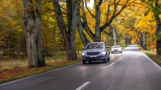 17-latkowie za kierownicą? Ekspert KUL: wiek nie decyduje o dojrzałości