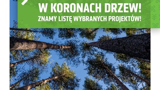 30 projektów zadba o drzewa w Lublinie 30 projektów zadba o drzewa w Lublinie