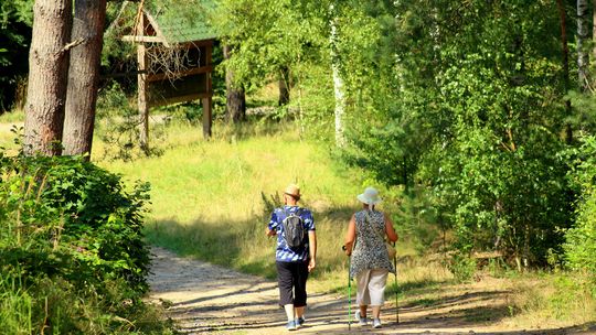 53 proc. polskich seniorów jest nieaktywnych fizycznie