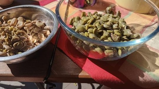 Bób smakuje latem najlepiej. Trzy przepisy, do których będziecie wracać przez cały sezon