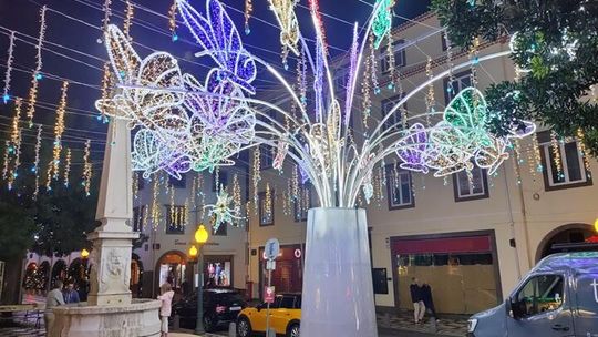 Boże Narodzenie pod palmami. Funchal zachwyca świąteczną iluminacją