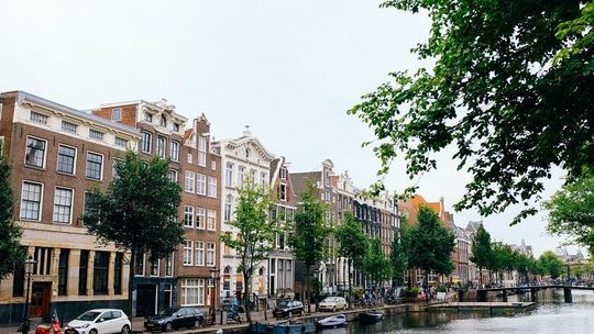 Busem do kraju kwitnących tulipanów