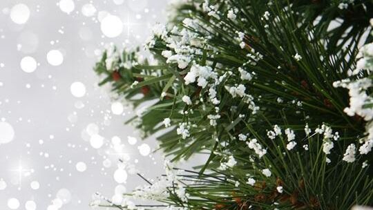 Choinka, która daje nadzieję. Świąteczna akcja pod Galerią Olimp dla małego Frania chorego na DMD