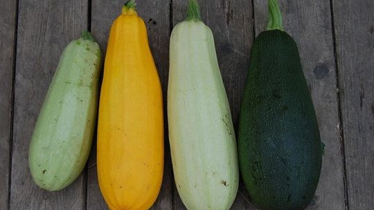 Cukinia – jeśli nie znasz tych przepisów, koniecznie wypróbuj
