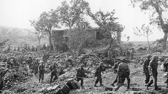 Czerwone Maki na Monte Cassino - 80 rocznica bitwy.