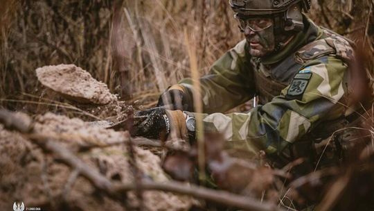 Delegacja Hemvärnet szkoliła się z lubelskimi Terytorialsami