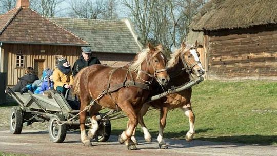 DRUGI TYDZIEŃ FERII ZIMOWYCH W MUZEUM WSI LUBELSKIEJ