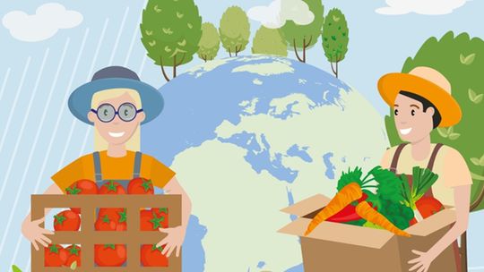 Dwóch na trzech Polaków przyznaje się do marnowania jedzenia