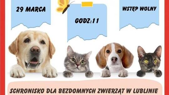 Dzień Otwarty w schronisku w Lublinie. Poznaj zwierzaki i dowiedz się, jak adoptować Dzień Otwarty w schronisku w Lublinie. Poznaj zwierzaki i dowiedz się, jak adoptować