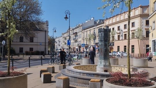 Grusze na placu Wolności, pnącza na Starym Mieście