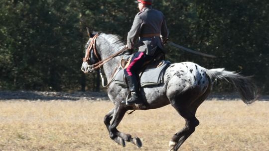  Hubertus 2018 w Janowie koło Chełma