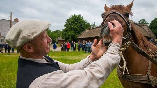 Jarmark koński w niedzielę 18 czerwca