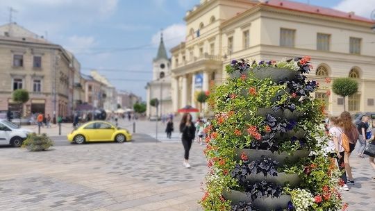 Kwiaty odmieniają Lublin!