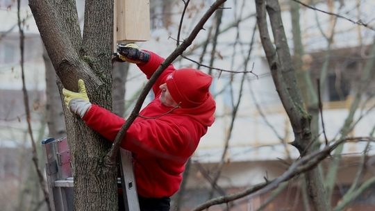 Leśny Korytarz z małą archtekturą przyrodniczą