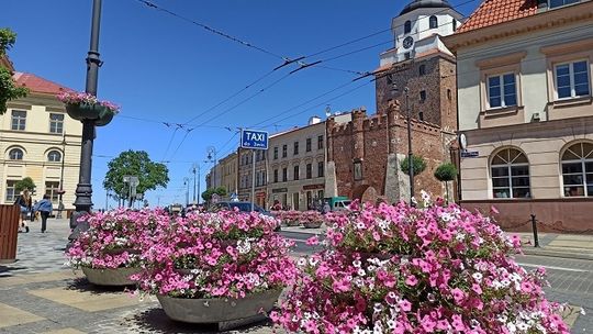 Lublin - Letnia odsłona kwietnych kompozycji