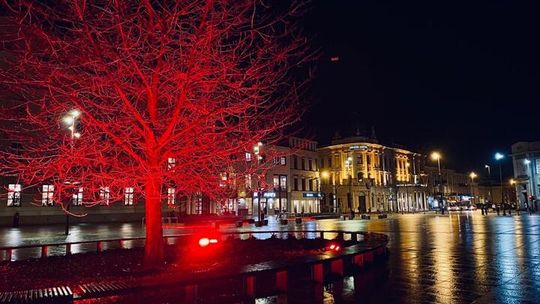 Lublin na czerwono. Miasto włącza się w Dzień Chorych na Hemofilię