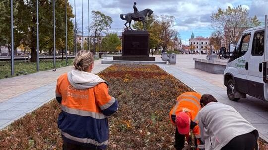 Lublin sadzi bratki, wrzosy i kapusty ozdobne - jesienna metamorfoza miejskich placów