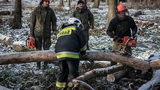 Lublin: Terytorialsi i strażacy na wspólnym szkoleniu