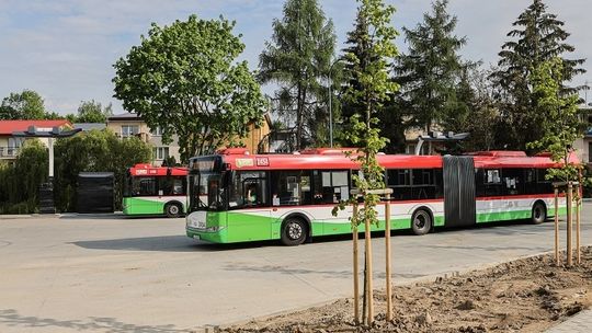 Lublin -Węzły przesiadkowe z nową zielenią