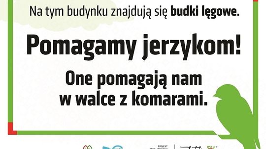 Lublin zadba o jerzyki i nietoperze