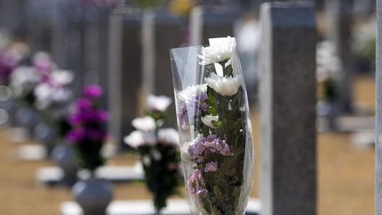 Lublin: Zmiany w organizacji ruchu i specjalne linie na Wszystkich Świętych