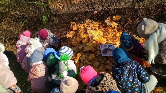 Miasto po raz kolejny zaprosiło lubelskie przedszkolaki do udziału w akcji „Tu śpi jeż”