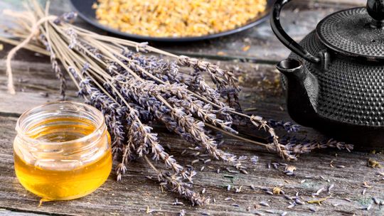 Miód lawendowy - jakie ma właściwości?