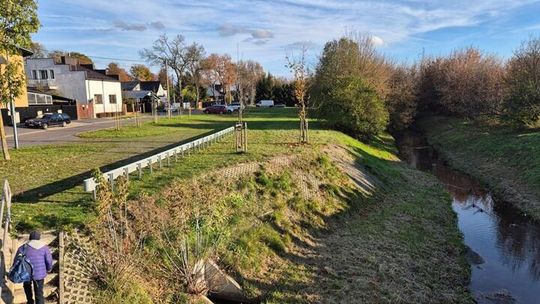 Nad Czerniejówką powstanie nowy skwer z placem zabaw i polem hamakowym