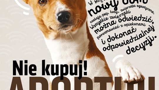 „Nie kupuj! Adoptuj!" 