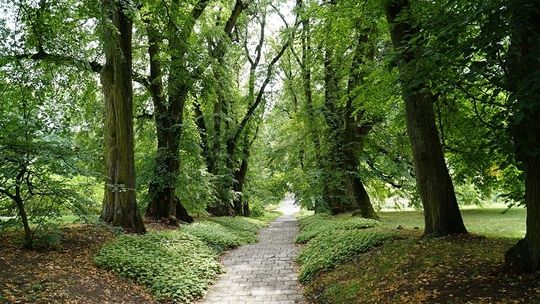 Niedzielny spacer z przewodnikiem po Ogrodzie Botanicznym UMCS