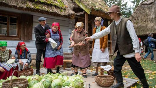 Obieraczki kapuściane. Kiszenie kapusty w lubelskim skansenie