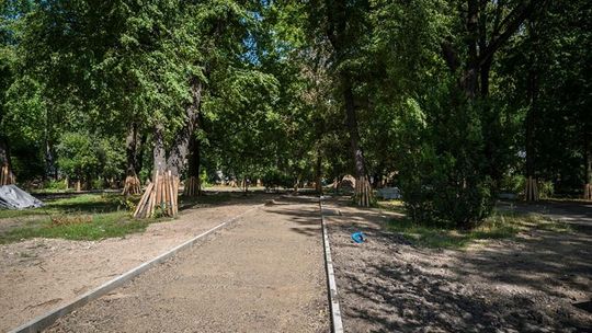 Park Bronowicki przechodzi wielką przemianę