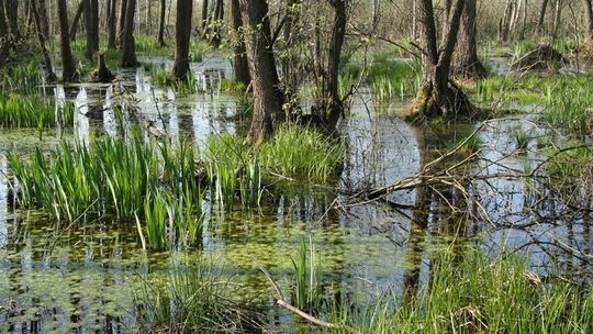 Parki narodowe i krajobrazowe dostępne dla wszystkich