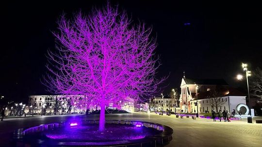 Plac Litewski w dwóch odsłonach. Najpierw barwy wolnej Białorusi, potem fiolet wsparcia
