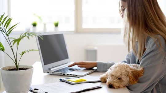 Pokolenie Z ceni równowagę i stabilność. Ich siłą są kompetencje cyfrowe