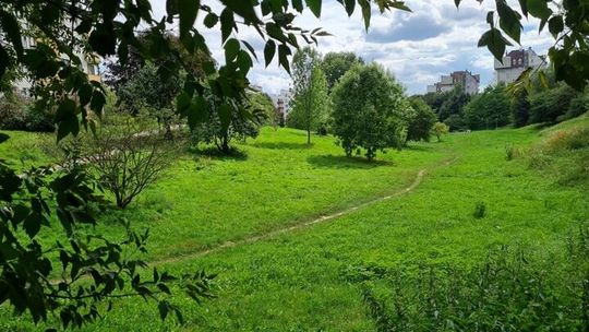 Polana Centralna z miejskim sadem i „żywą” architekturą.