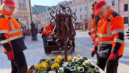 Ponad 8,6 tys. bratków ozdobi centrum miasta. Ruszyły wiosenne nasadzenia