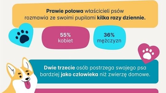 Psy rozumieją nas lepiej niż partnerzy i są na to dowody - badanie Preply