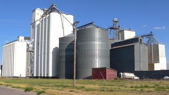 Rolnicy alarmują: magazyny pełne zbóż, ceny jak sprzed 20 lat. „Nie ma komu sprzedać”