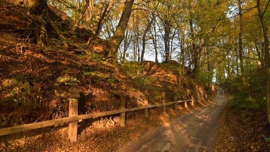 Rowerem po Lubelskim - Kazimierz Dolny - Janowiec