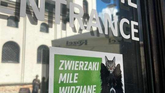 Rusza kolejny nabór do akcji „Miejsce przyjazne zwierzętom” w Lublinie