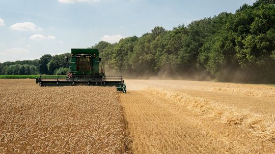 Środki ochrony roślin – klucz do zrównoważonego rozwoju rolnictwa