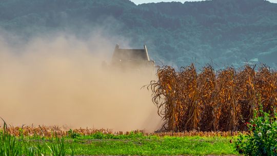 Susza rolnicza w 15 województwach i we wszystkich uprawach. Ocieplenie klimatu to problem nie tylko dla rolników