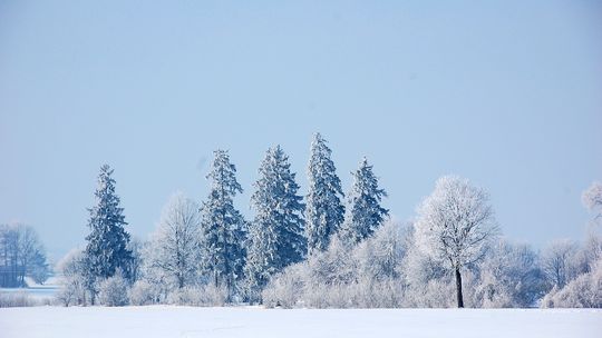 Święta między Bugiem a Krzną