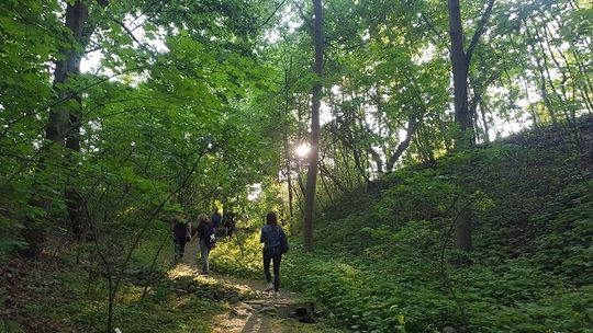 W Ogrodzie Botanicznym shinrin-yoku z elementami hortiterapii i ikebany