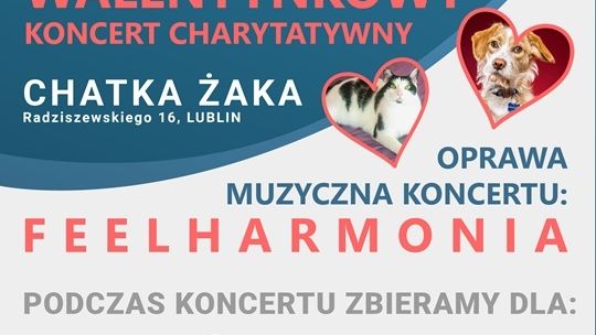 Walentynkowy Koncert Charytatywny w Chatce Żaka.