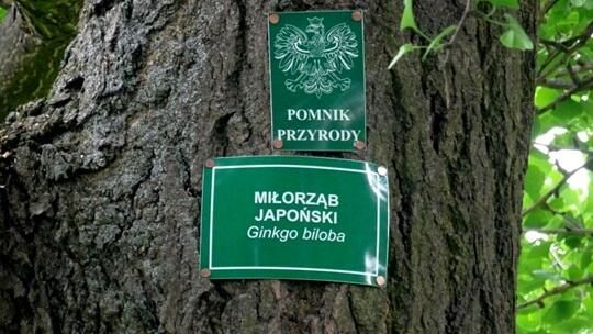 Zielony Lublin z dofinansowaniem unijnym Zielony Lublin z dofinansowaniem unijnym