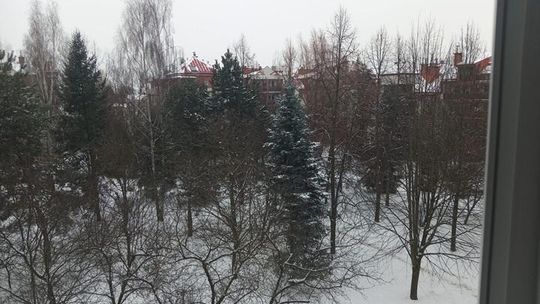 Zima nie odpuszcza Lubelszczyzny. Mróz, śnieg i późniejsza odwilż Zima nie odpuszcza Lubelszczyzny. Mróz, śnieg i późniejsza odwilż