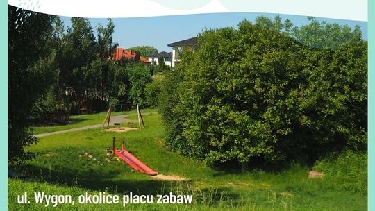 Znamy już lokalizacje ogrodów deszczowych w Lublinie